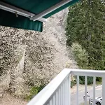 Hedwig - Schwarzwald Mit Thermalbad-naehe & Balkon Mit Bergblick 公寓式酒店 4*