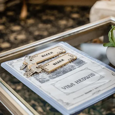 Hedwig - Schwarzwald Mit Thermalbad-naehe & Balkon Mit Bergblick 4* Badenweiler