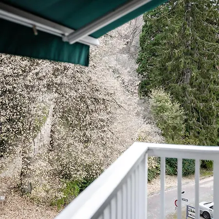 Hedwig - Schwarzwald Mit Thermalbad-naehe & Balkon Mit Bergblick アパートホテル 4*