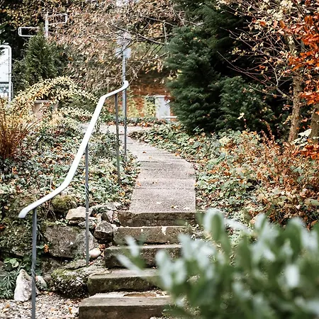 Hedwig - Schwarzwald Mit Thermalbad-naehe & Balkon Mit Bergblick Badenweiler